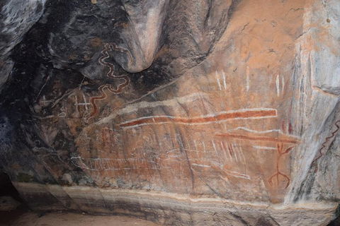 Daintree - Cape Tribulation & Atherton Tablelands Tours From Port Douglas - Accommodation Gladstone 15