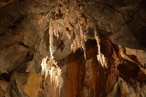 Daintree - Cape Tribulation & Atherton Tablelands Tours From Port Douglas - Accommodation Gladstone 23