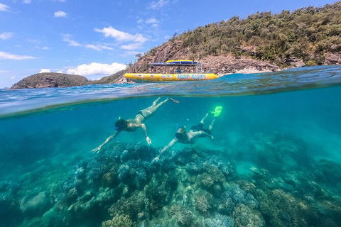 Ocean Rafting Tour To Whitehaven Beach, Hill Inlet Lookout & Top Snorkel Spots - Accommodation Gladstone 16