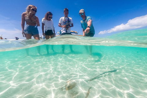 Ocean Rafting Tour To Whitehaven Beach, Hill Inlet Lookout & Top Snorkel Spots - Accommodation Gladstone 24