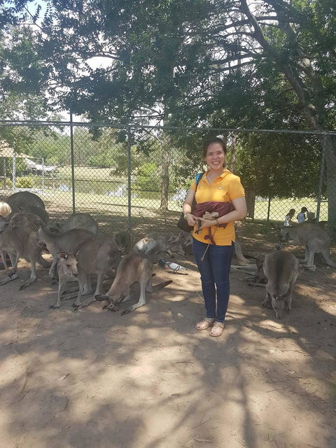 Lone Pine Koala Sanctuary Admission With Brisbane River Cruise - Accommodation Gladstone 17