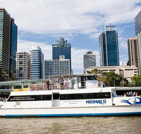 Lone Pine Koala Sanctuary Admission with Brisbane River Cruise - Accommodation Gladstone