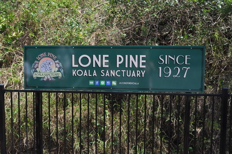 Lone Pine Koala Sanctuary Admission With Brisbane River Cruise - Accommodation Gladstone 7