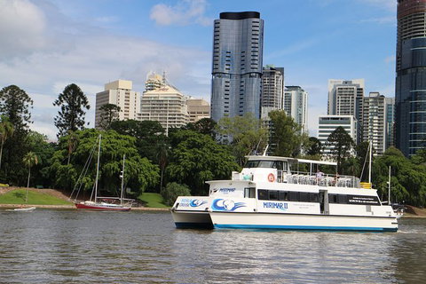 Lone Pine Koala Sanctuary Admission With Brisbane River Cruise - Accommodation Gladstone 32