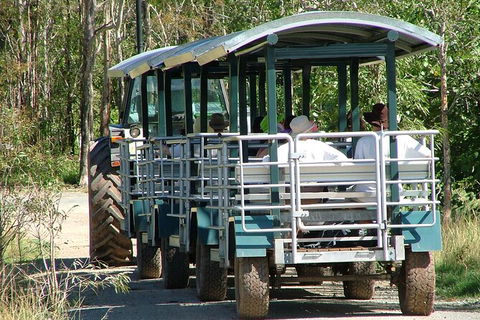 Whitsunday Crocodile Safari Including Lunch - Accommodation Gladstone 6