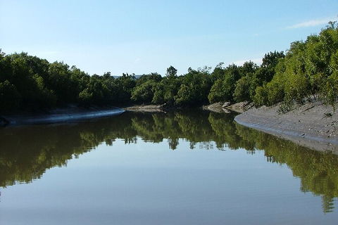 Whitsunday Crocodile Safari Including Lunch - Accommodation Gladstone 3