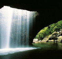 World Heritage Springbrook National Park Tour Including Natural Bridge - Accommodation Gladstone