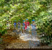 Whitsunday Segway Rainforest Discovery Tour - Accommodation Gladstone