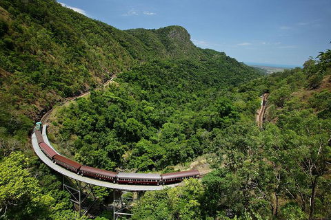 Skyrail Rainforest Cableway Day Trip From Palm Cove - Accommodation Gladstone 5