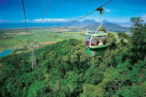 Skyrail Rainforest Cableway Day Trip From Palm Cove - Accommodation Gladstone 3