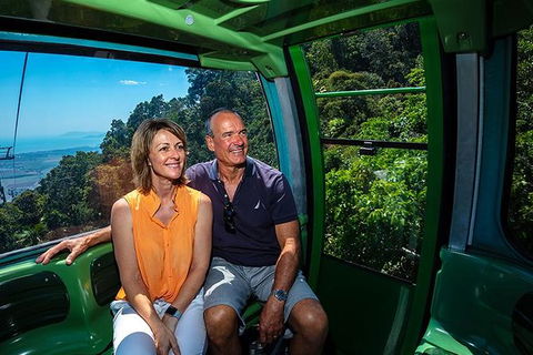 Skyrail Rainforest Cableway Day Trip From Palm Cove - Accommodation Gladstone 2