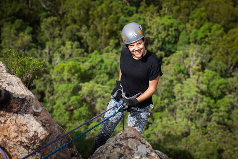 Glass House Mountains Abseiling Experience - Accommodation Gladstone 1