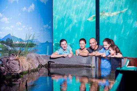 Reef HQ Great Barrier Reef Aquarium General Entry Ticket - Accommodation Gladstone 0
