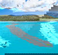 Whitsundays Jet Ski Tour - Accommodation Gladstone