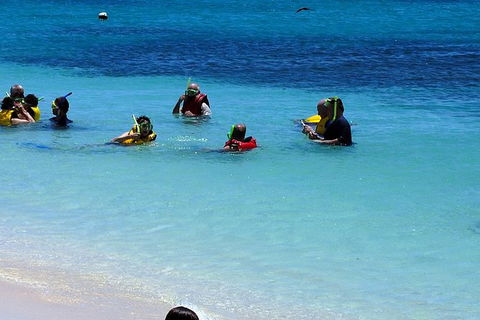 Ocean Spirit Michaelmas Cay Dive And Snorkel Cruise From Palm Cove - Accommodation Gladstone 1
