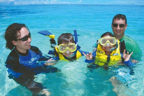 Ocean Spirit Michaelmas Cay Dive And Snorkel Cruise From Palm Cove - Accommodation Gladstone 5