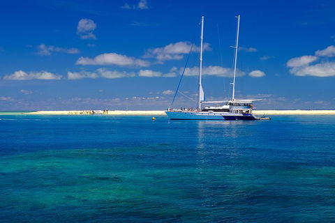 Ocean Spirit Michaelmas Cay Dive And Snorkel Cruise From Palm Cove - Accommodation Gladstone 3