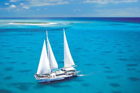 Ocean Spirit Michaelmas Cay Dive And Snorkel Cruise From Palm Cove - Accommodation Gladstone 8