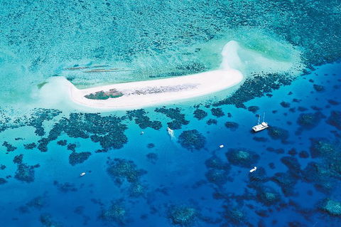 Ocean Spirit Michaelmas Cay Dive And Snorkel Cruise From Palm Cove - Accommodation Gladstone 7