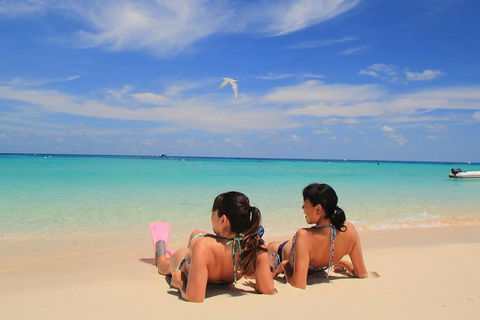 Ocean Spirit Michaelmas Cay Dive And Snorkel Cruise From Palm Cove - Accommodation Gladstone 2