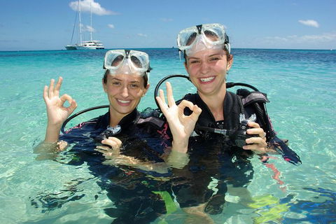 Ocean Spirit Michaelmas Cay Dive And Snorkel Cruise From Palm Cove - Accommodation Gladstone 10