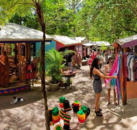 Kuranda Day Trip small group from Port Douglas by bus