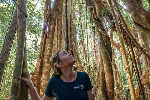 Whitsundays Tropical Rainforest, Waterfalls And Airlie Beach Eco Experience - Accommodation Gladstone 14