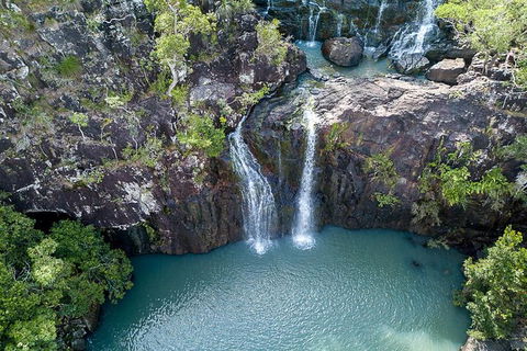 Whitsundays Tropical Rainforest, Waterfalls And Airlie Beach Eco Experience - Accommodation Gladstone 13