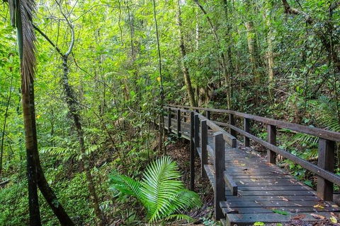 Whitsundays Tropical Rainforest, Waterfalls And Airlie Beach Eco Experience - Accommodation Gladstone 3