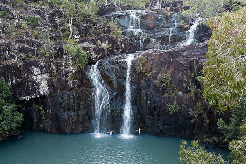 Whitsundays Tropical Rainforest, Waterfalls And Airlie Beach Eco Experience - Accommodation Gladstone 9
