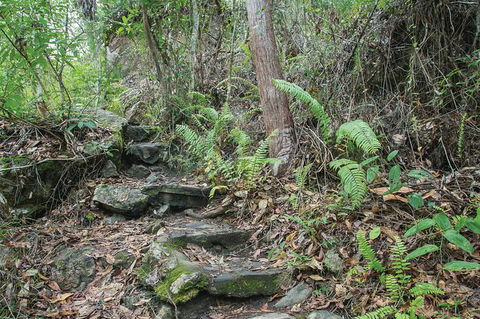 Whitsundays Tropical Rainforest, Waterfalls And Airlie Beach Eco Experience - Accommodation Gladstone 16