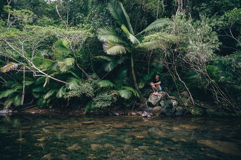 Whitsundays Tropical Rainforest, Waterfalls And Airlie Beach Eco Experience - Accommodation Gladstone 2