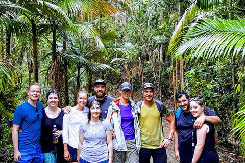 Whitsundays Tropical Rainforest, Waterfalls And Airlie Beach Eco Experience - Accommodation Gladstone 15