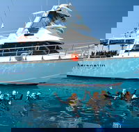 Great Barrier Reef Cruise from Townsville or Magnetic Island - Accommodation Gladstone