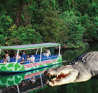 Daintree River Cruise