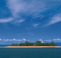 Afternoon Low Isles Snorkeling and Sailing Cruise from Port Douglas