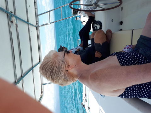 Afternoon Low Isles Snorkeling And Sailing Cruise From Port Douglas - Accommodation Gladstone 8