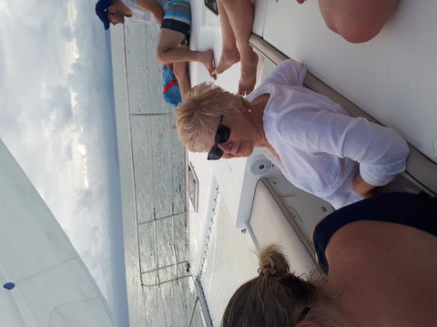 Afternoon Low Isles Snorkeling And Sailing Cruise From Port Douglas - Accommodation Gladstone 5
