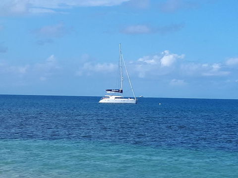Afternoon Low Isles Snorkeling And Sailing Cruise From Port Douglas - Accommodation Gladstone 7
