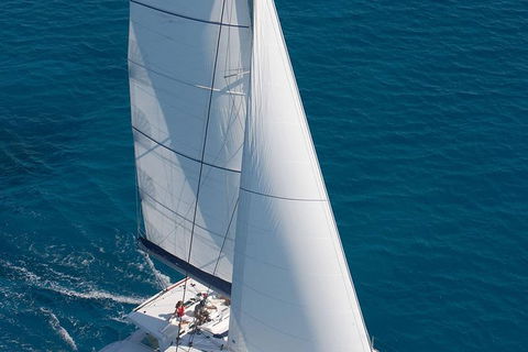 Afternoon Low Isles Snorkeling And Sailing Cruise From Port Douglas - Accommodation Gladstone 11