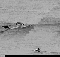 Overnight Tweed Coast Camping and Surfing Getaway From The Gold Coast - Accommodation Gladstone