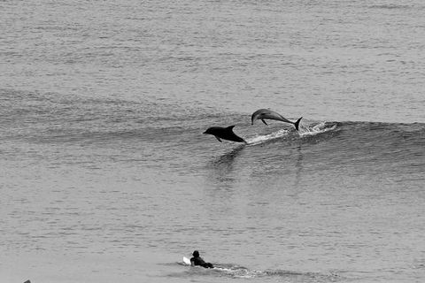 Overnight Tweed Coast Camping And Surfing Getaway From The Gold Coast - Accommodation Gladstone 0
