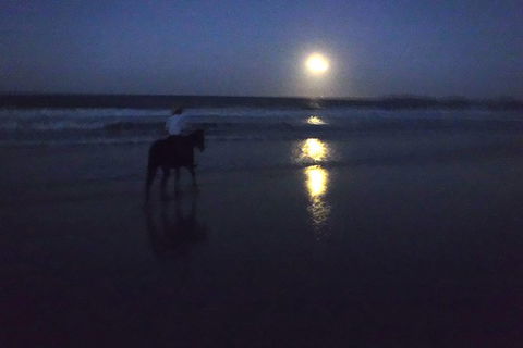 Full Moon Horse Ride At Rainbow Beach - Accommodation Gladstone 0
