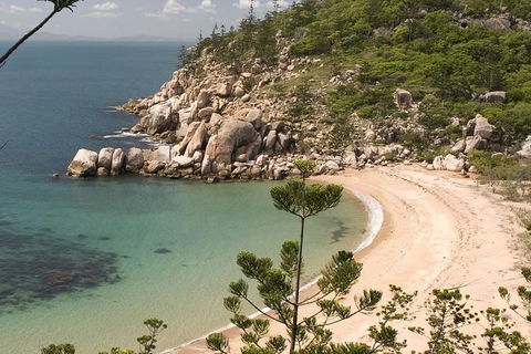 Townsville Helicopter Tour - Accommodation Gladstone 1