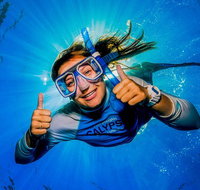 Calypso Outer Great Barrier Reef Cruise from Port Douglas
