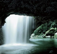 Natural Bridge Glow Worm Night Tour from Gold Coast - Accommodation Gladstone