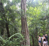 Sightseeing Tour - Half Day