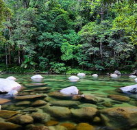 Mossman Silky Oaks to/from Cairns