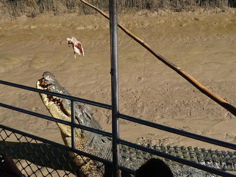 Litchfield And Jumping Crocodiles Full Day Trip From Darwin - Accommodation Gladstone 5