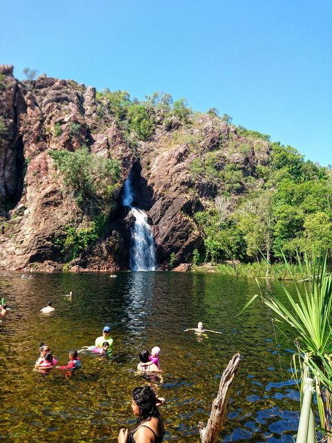 Litchfield And Jumping Crocodiles Full Day Trip From Darwin - Accommodation Gladstone 3